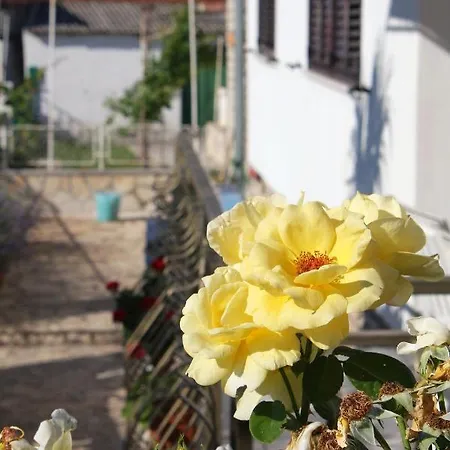 Apartments By The Sea Jezera, Murter - 5074 Apartment